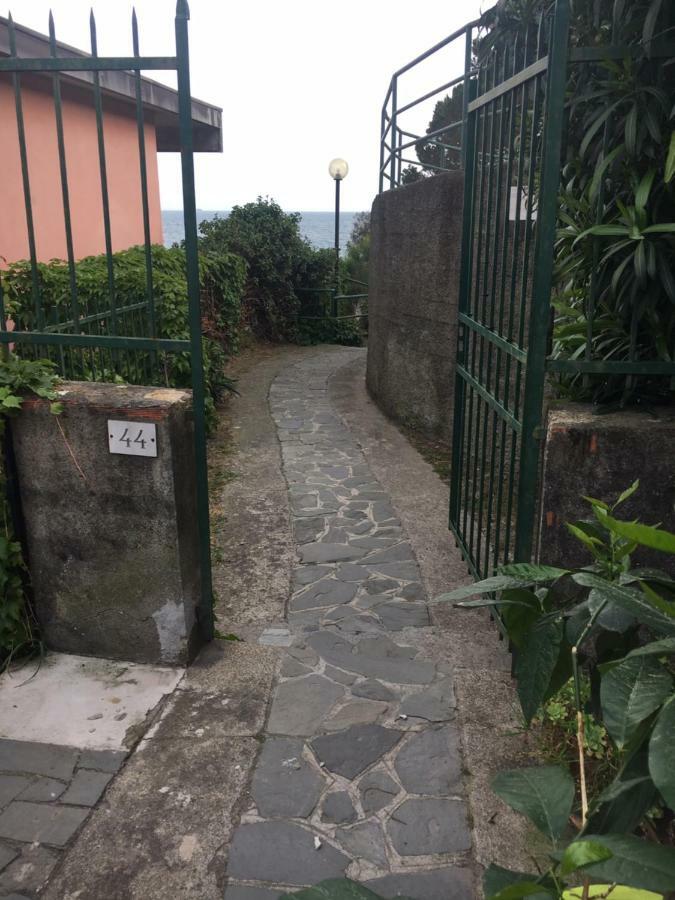 Cinqueterreblu Bougainvilleap Monterosso al Mare Kültér fotó