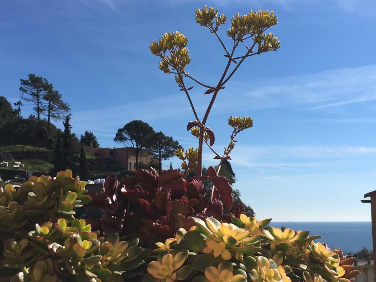 Cinqueterreblu Bougainvilleap Monterosso al Mare Kültér fotó